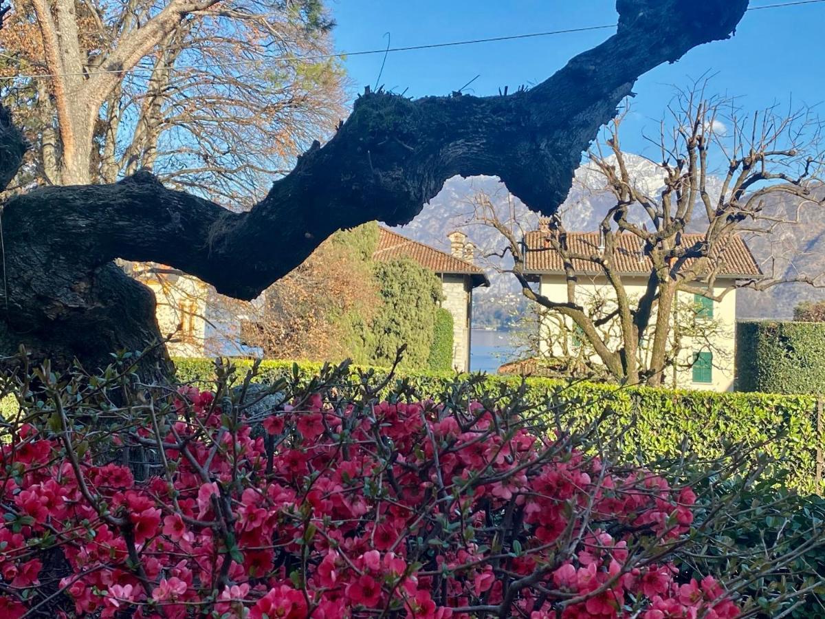 Villa Magnolia - Lake Como Лено Экстерьер фото